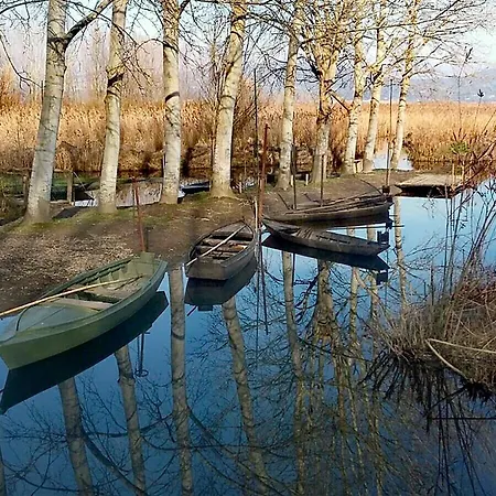 Casale Gli Olivi Di Dino *